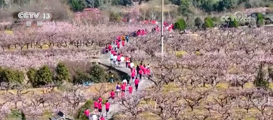 “賽事+文旅”火爆春日 各地賽事“流量”加速轉(zhuǎn)化為經(jīng)濟“增量”(圖3)