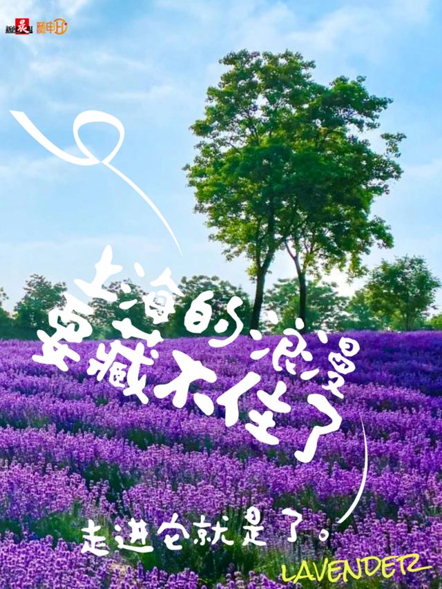 電競之光點亮申城ACL總決賽引領(lǐng)全城文旅商體展聯(lián)動新篇章！活動亮點速覽→(圖4)