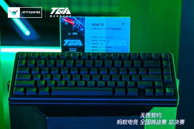 戰(zhàn)火重燃！2025TGA無(wú)畏契約螞蟻電競(jìng)?cè)珖?guó)挑戰(zhàn)賽火熱報(bào)名中！(圖5)